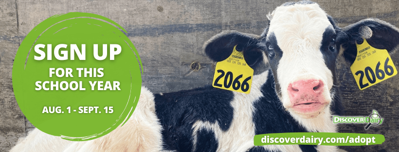 Adopt a Cow – Registration Open Through September 15