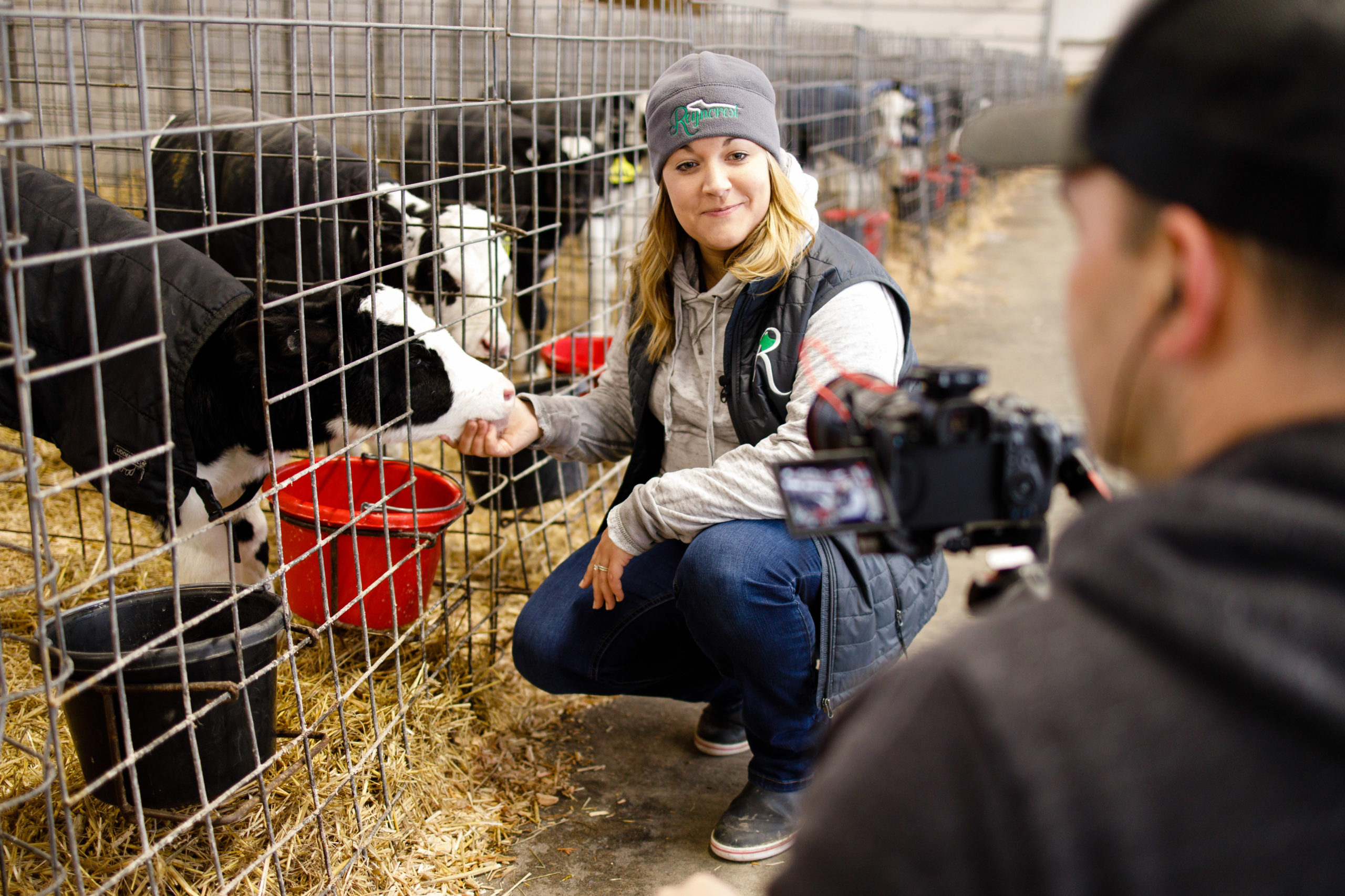 Students Can Visit a New York Dairy Farm Without Leaving Their Classroom
