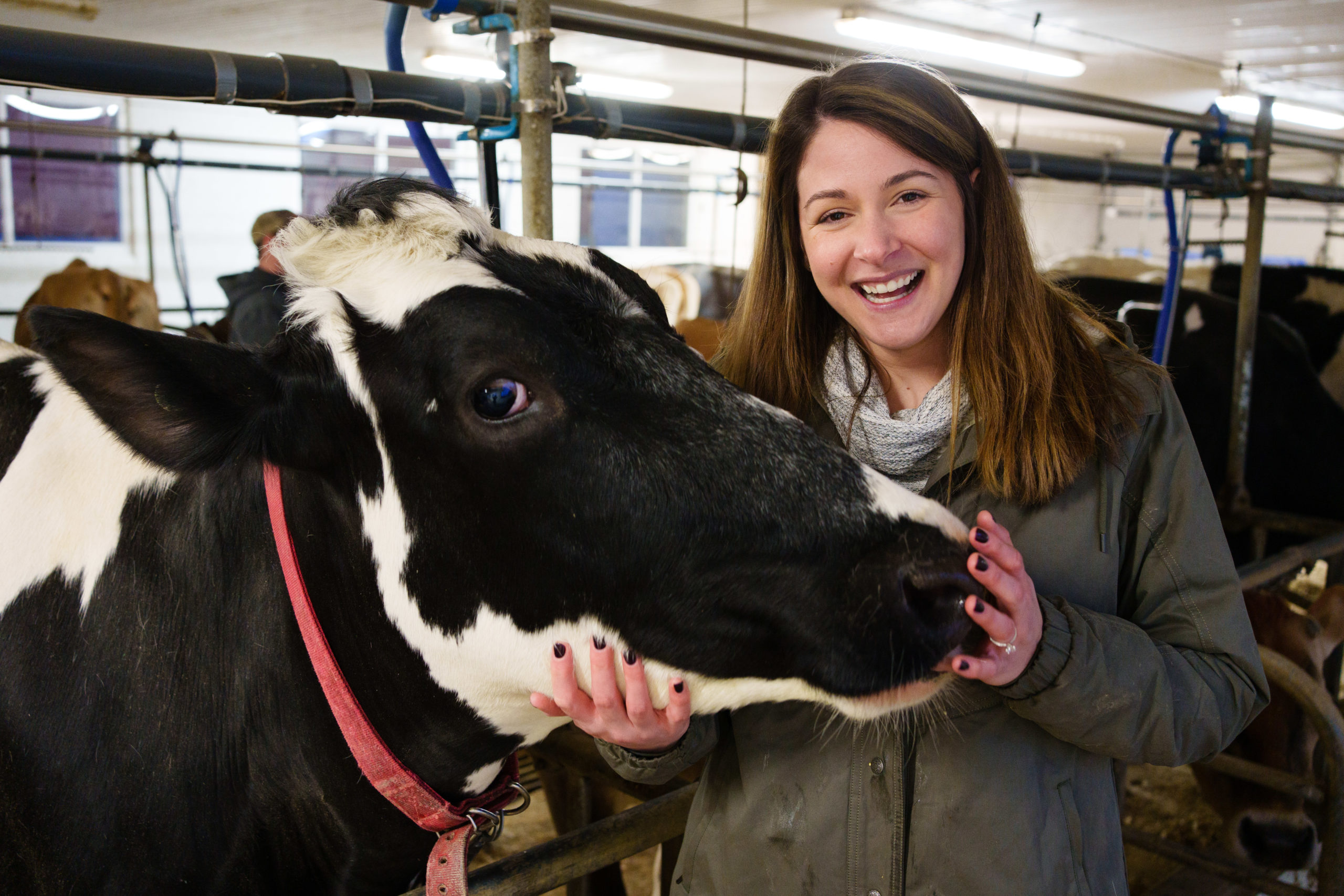 Students Can Visit a New Jersey Dairy Farm Without Leaving Their Classroom