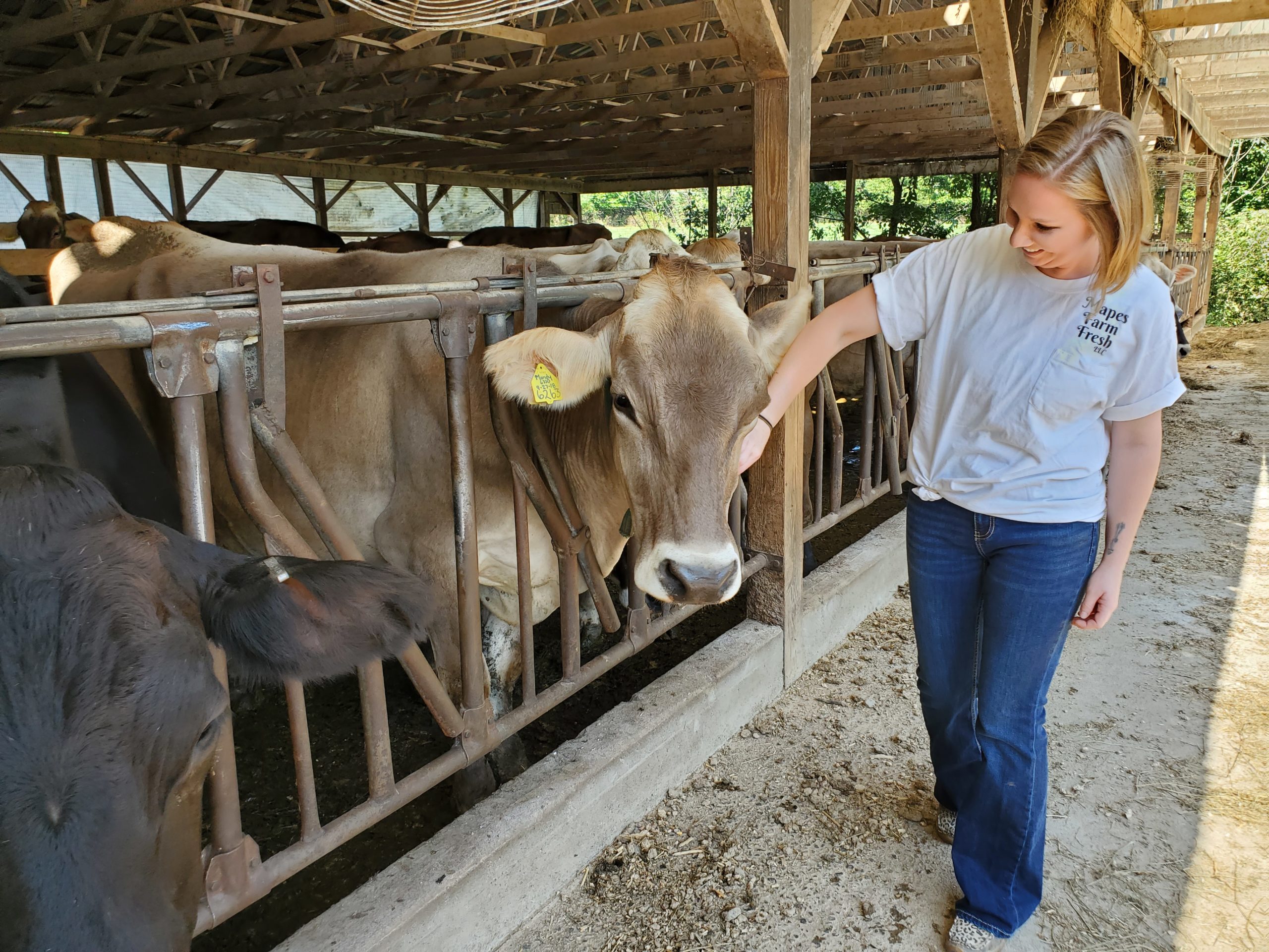 A cheerful dairy farmer petting a cow in a barn.