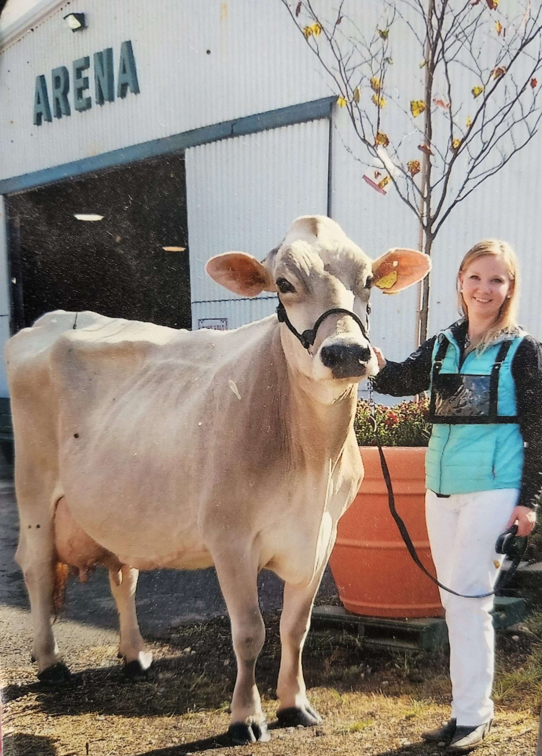 A dairy farmer, dressed in a blue vest and white pants, standing with a cow outside a barn.