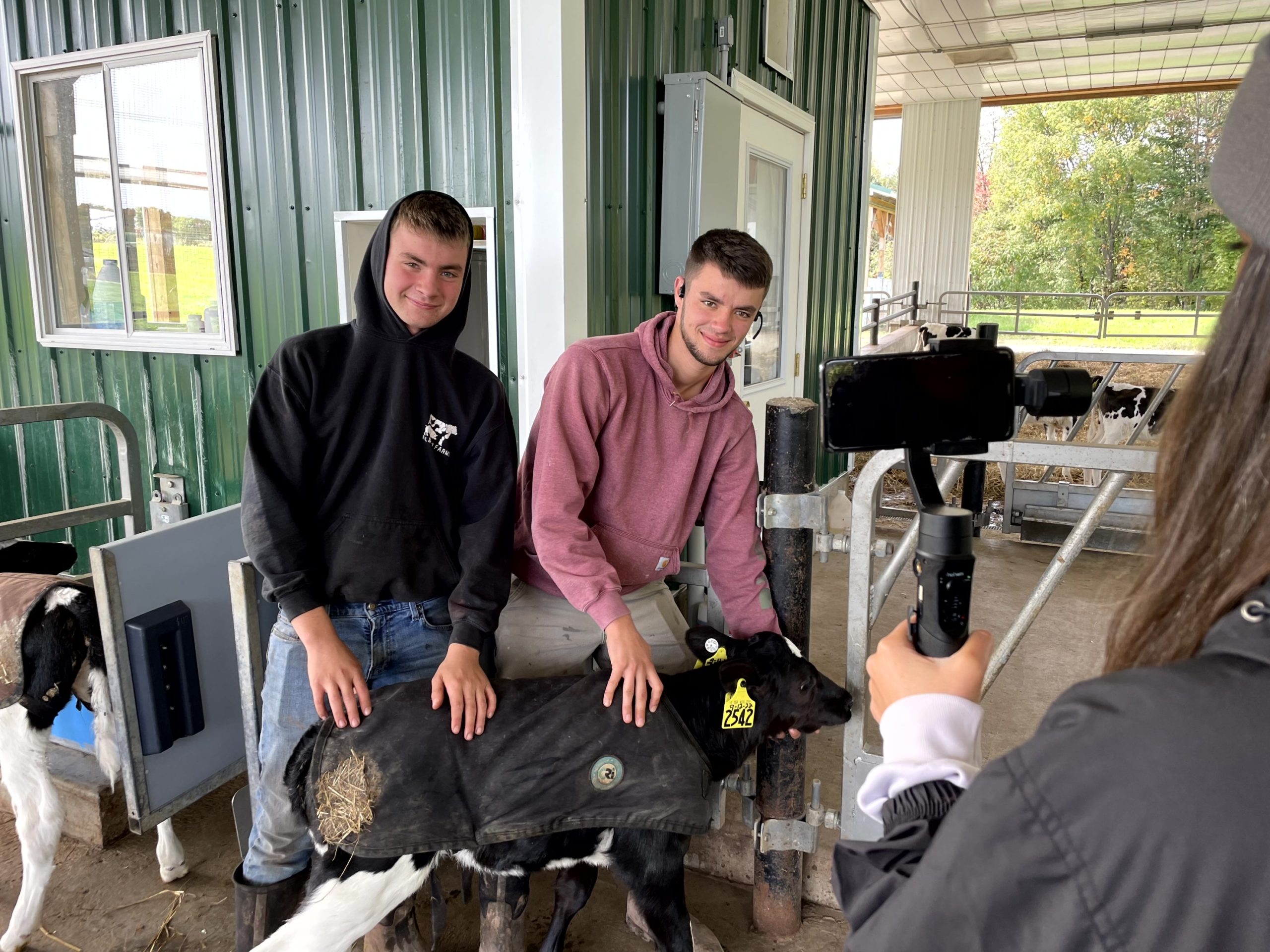 Virtual Farm Tour Draws 17,000+ Students to Learn About Dairy