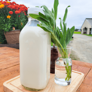 National Farmers Day – Recipe Process – 4 A glass bottle filled with milk placed on a wooden cutting board, accompanied by a vase filled with water and sage.