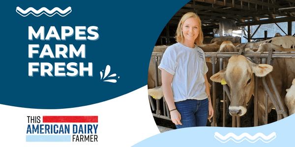 A young dairy farmer stands in front of some cows in a barn at Mapes Farm Fresh LLC.