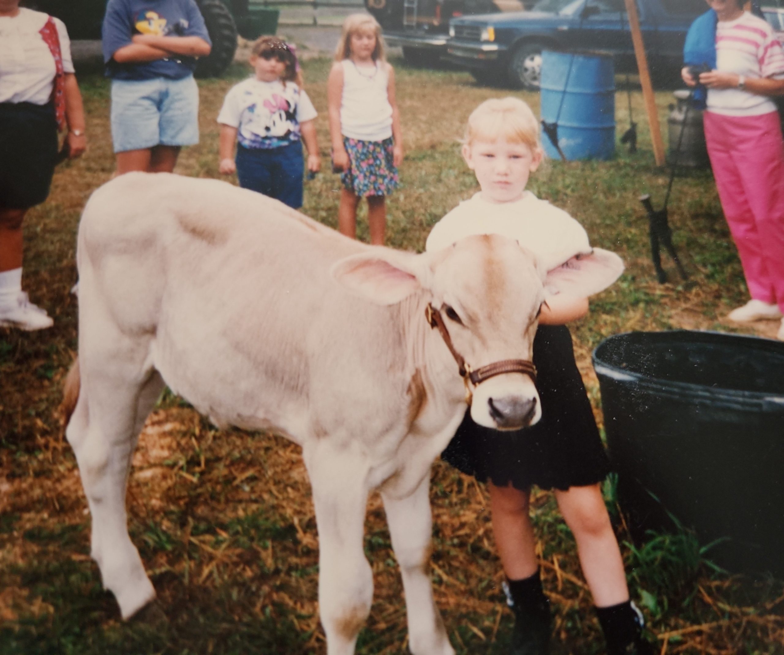 A girl standing next to a calf in a field, in the background a group of people and a couple of girls.