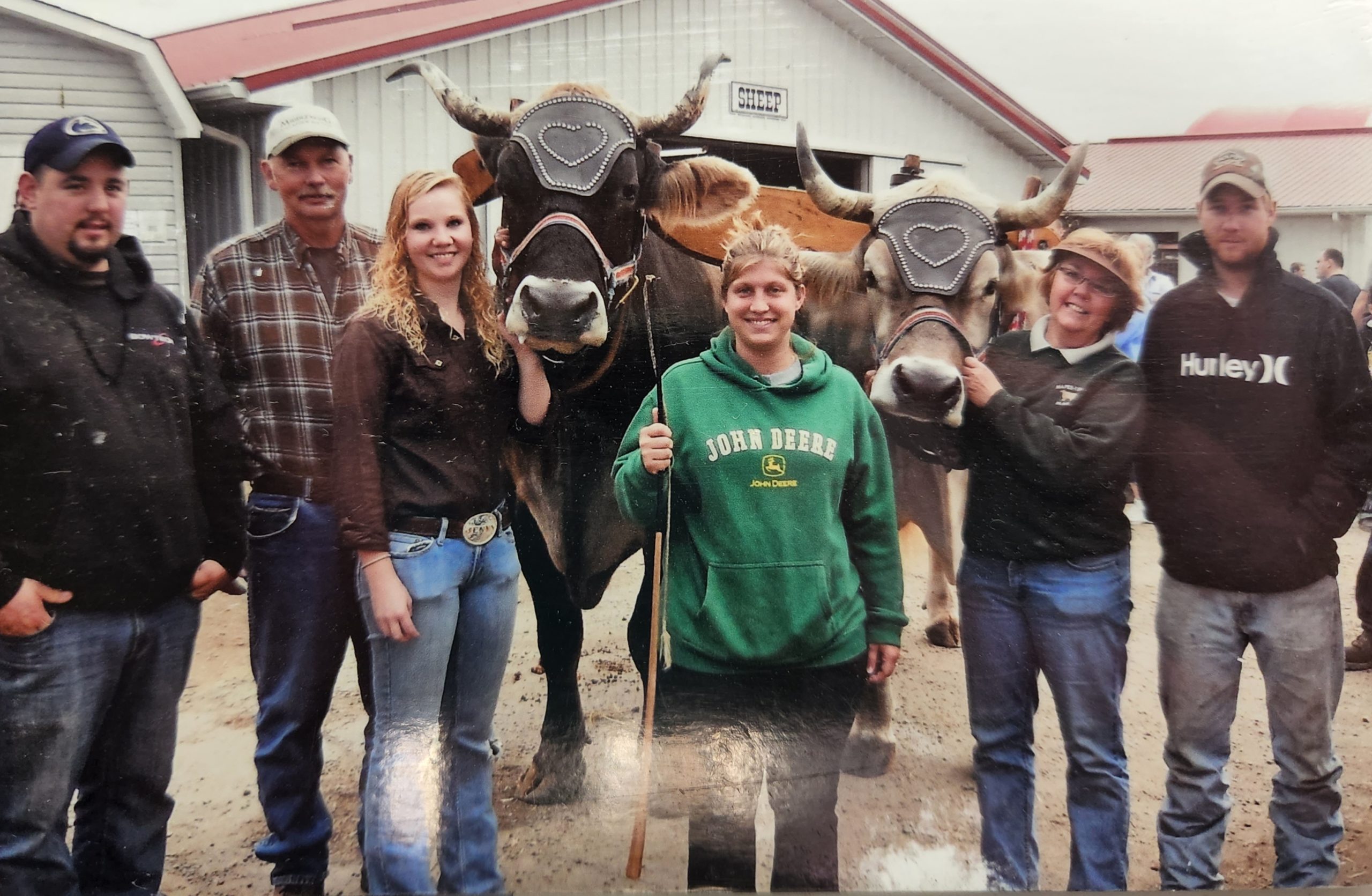 A family of dairy farmers standing with two cows wearing ornaments on their foreheads.