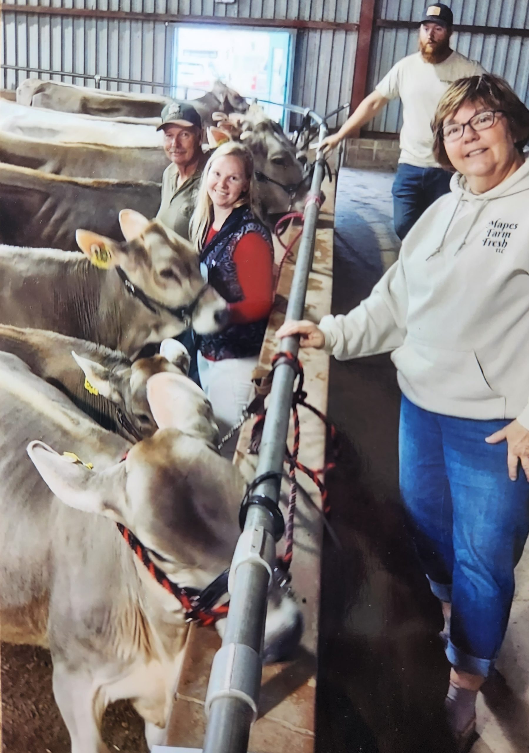 A family of dairy farmers inside a barn with dairy cows.