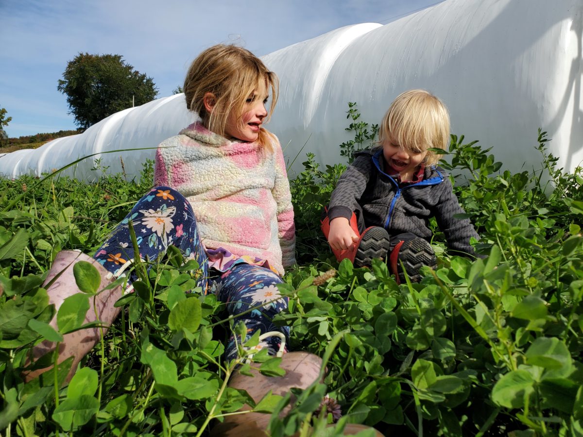 Young Dairy Farming Family Focuses on Sustainability American Dairy