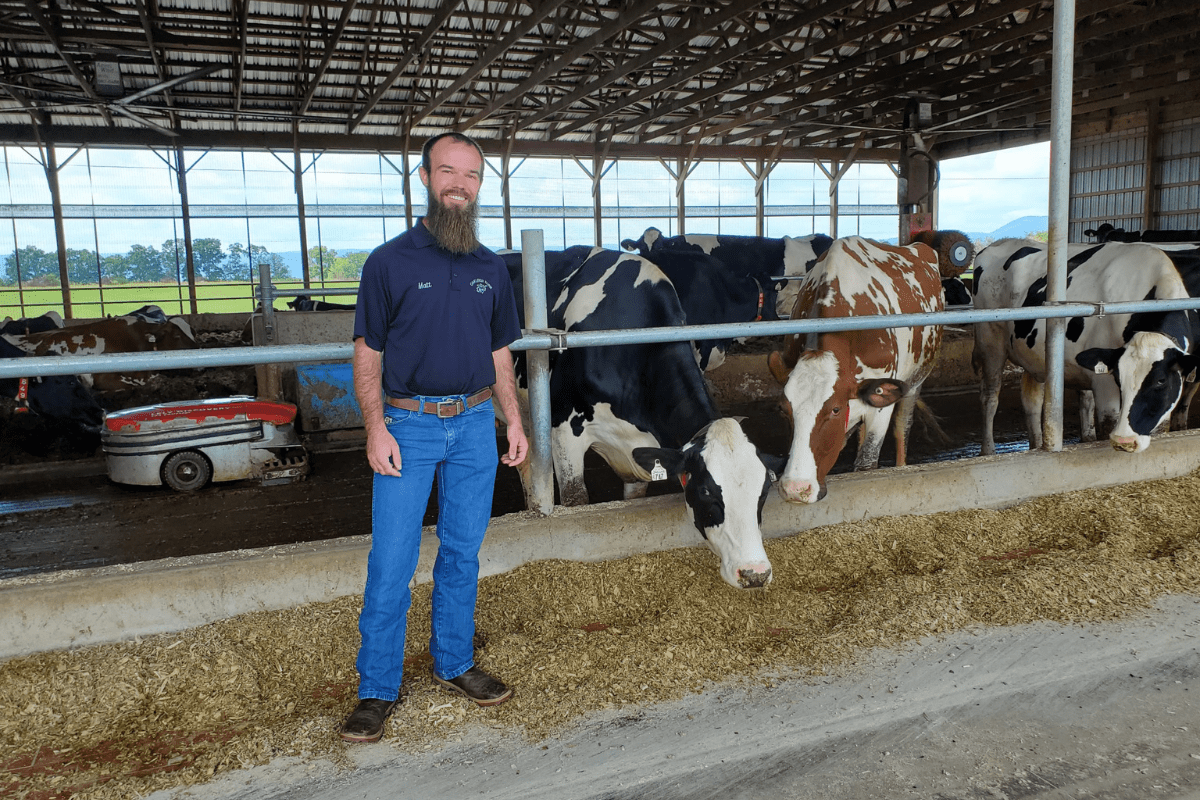 Dairy farmer Matt Brake stands among dairy cows as they feed at Oakleigh Farm.