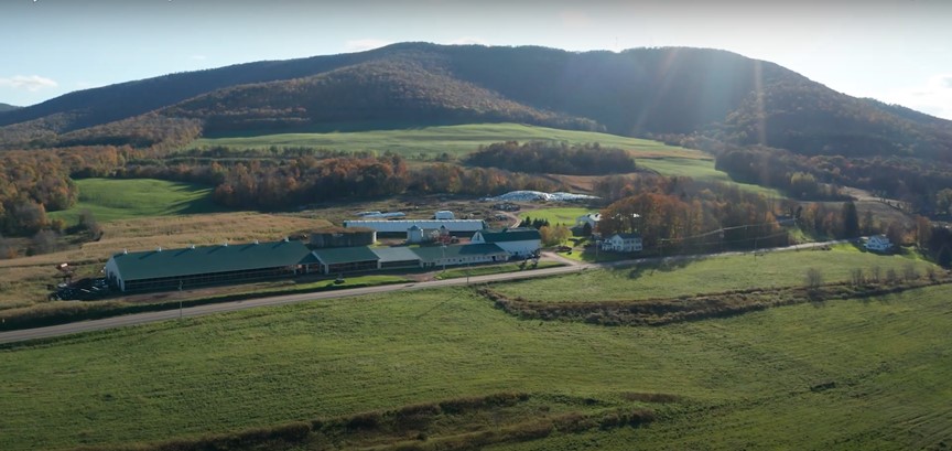 Albano Farms