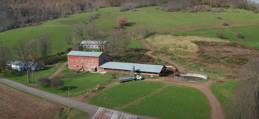 Clark Farms
