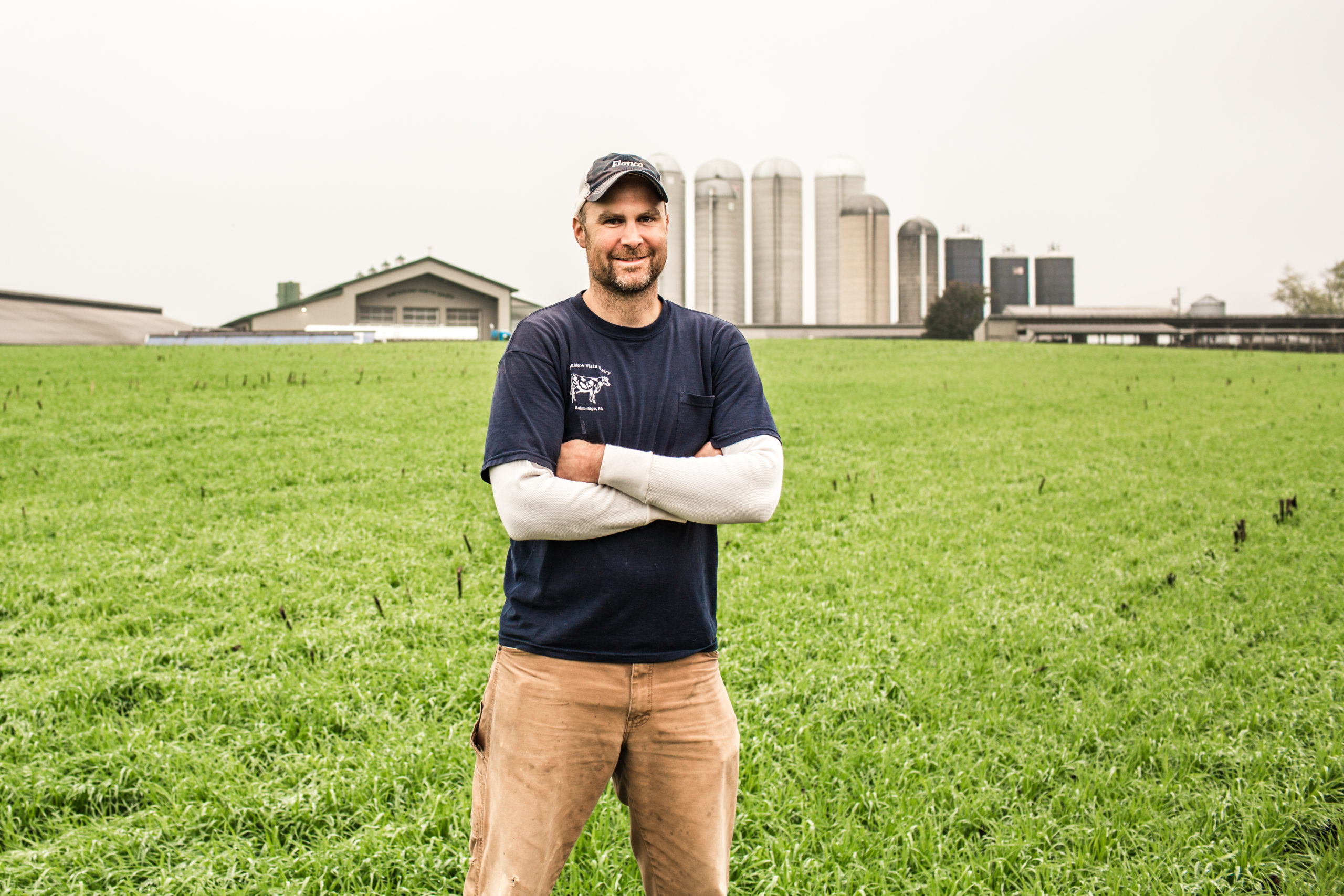 Meadow Vista Dairy