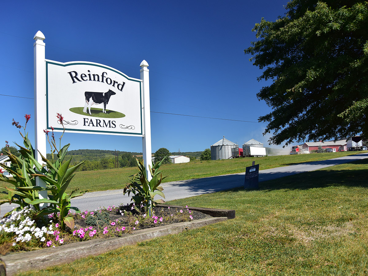 Reinford Farms