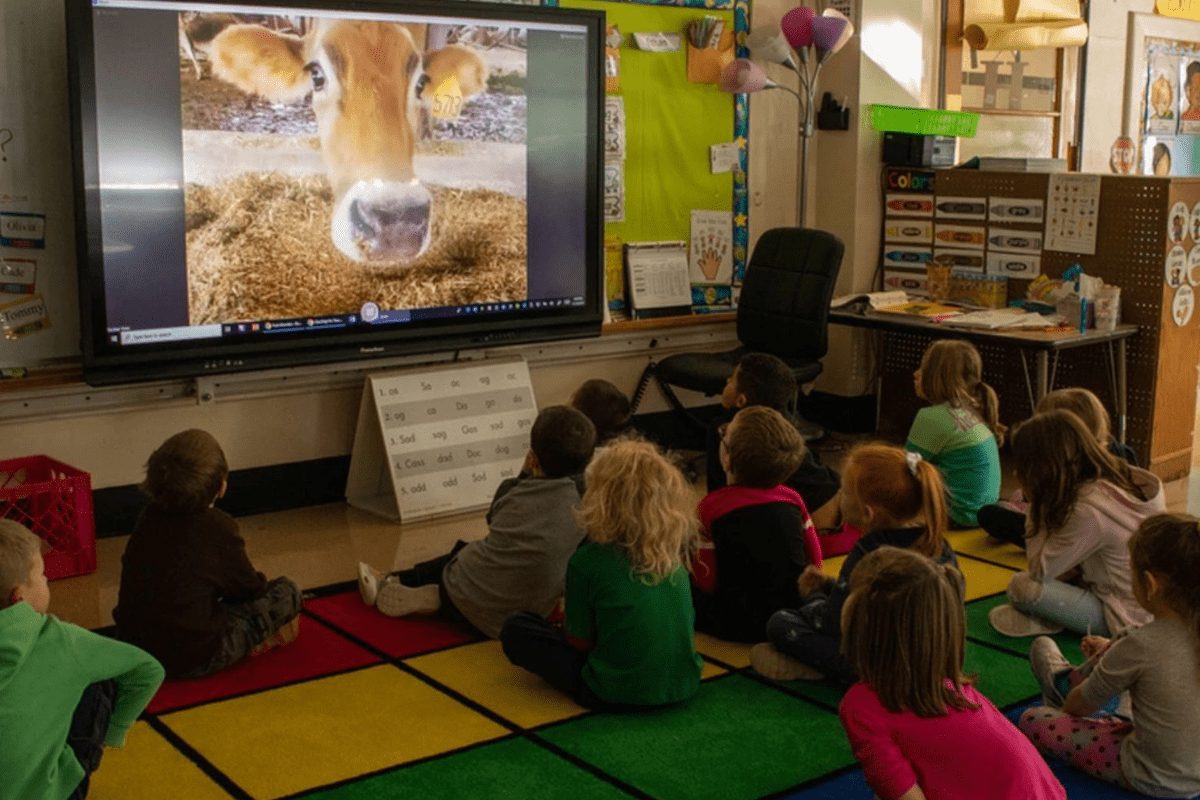 Virtual Farm Tour in classroom A group of children in a classroom sitting on a rug enjoying a virtual tour of a farm projected from a screen.