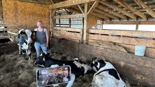 April Gokey Adopt a Cow