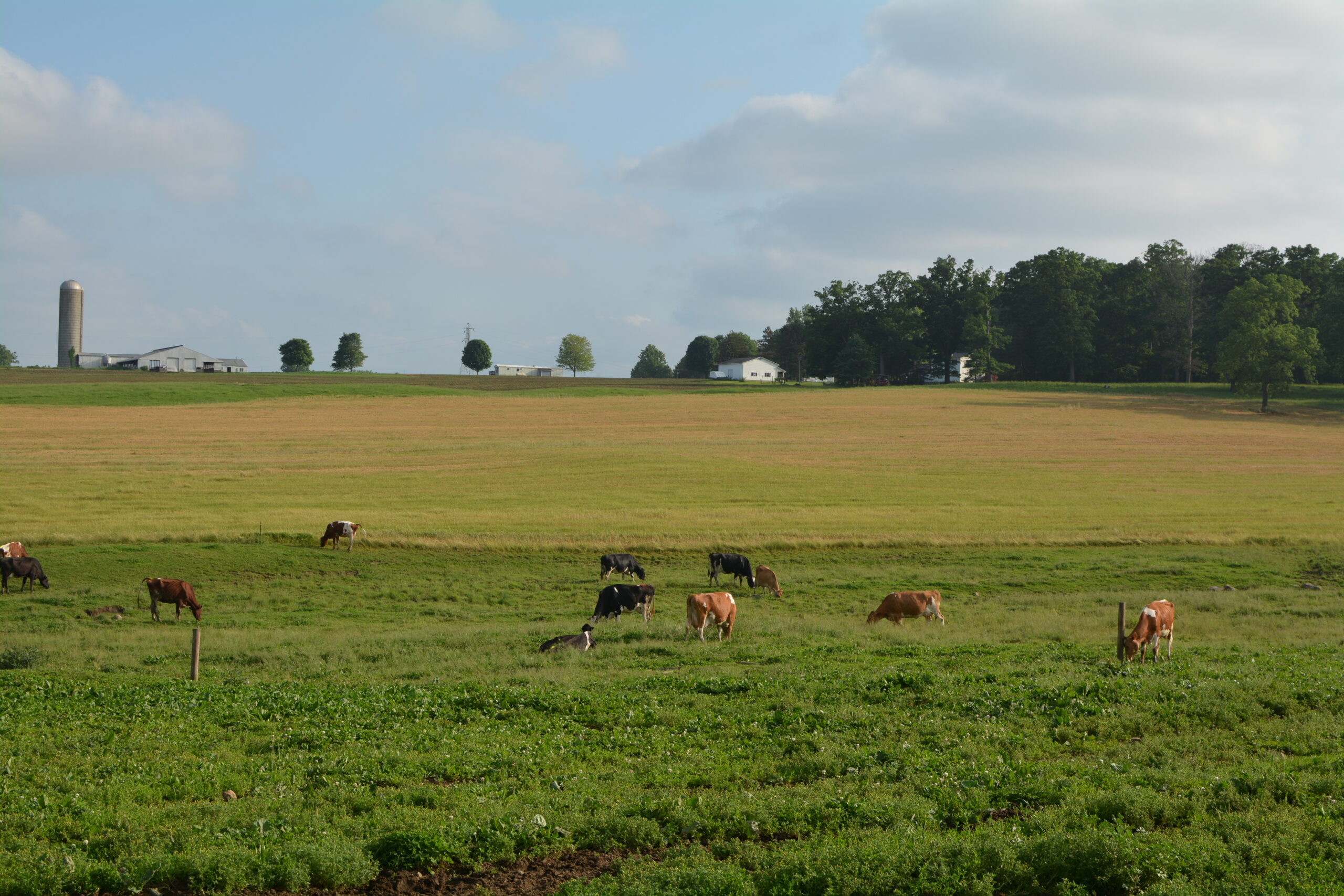 Changes Announced to the New York State Dairy Ambassador Program