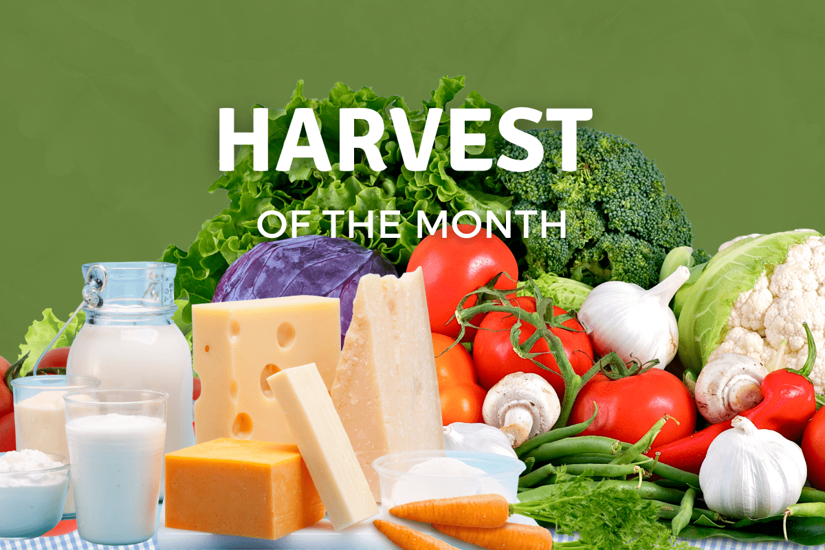 Text indicating "Harvest of the Month" displayed alongside dairy products, fruits, and vegetables.