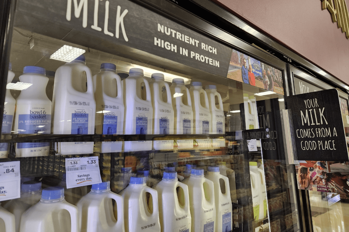 Jugs of milk stored behind refrigerator doors within a grocery store.