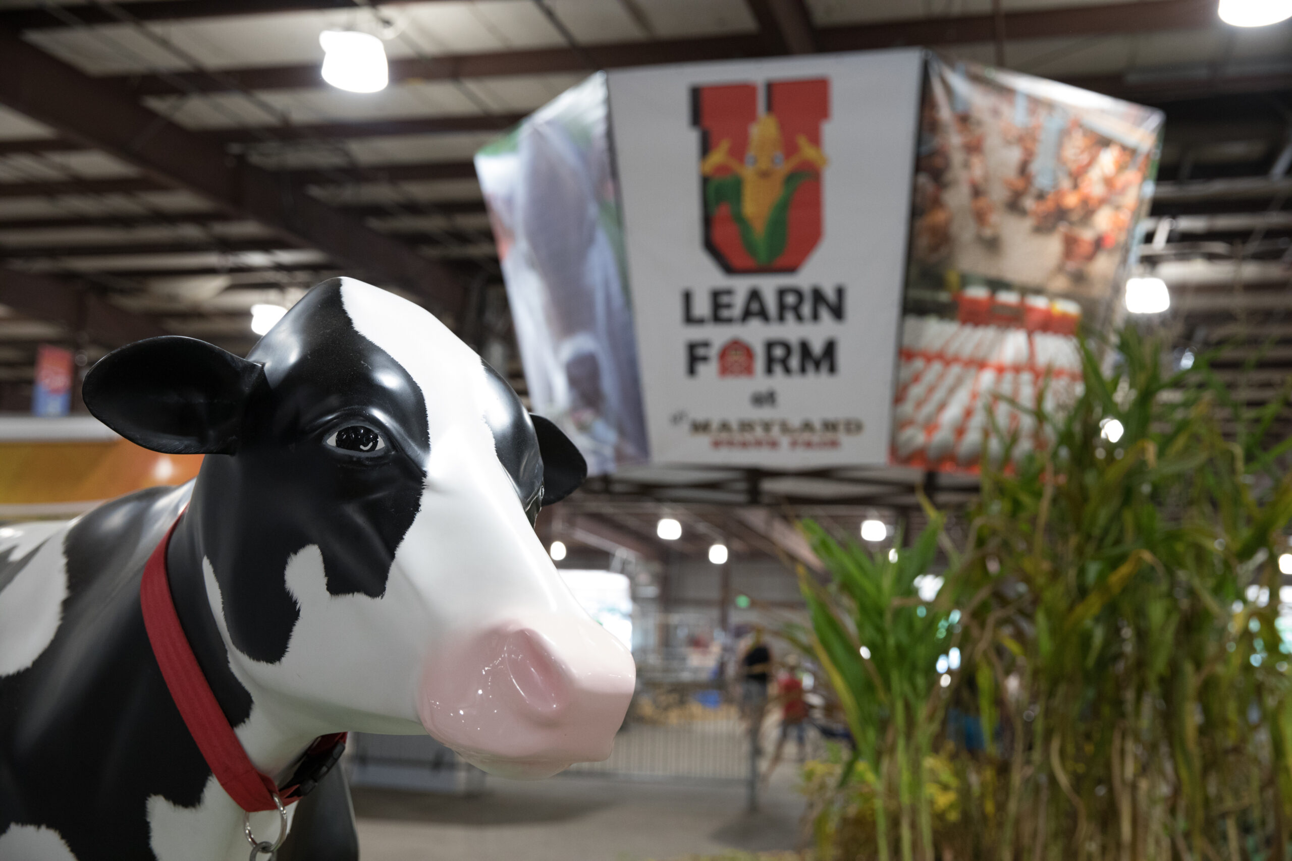 Maryland State Fair Page – U-Learn Ag Education Area