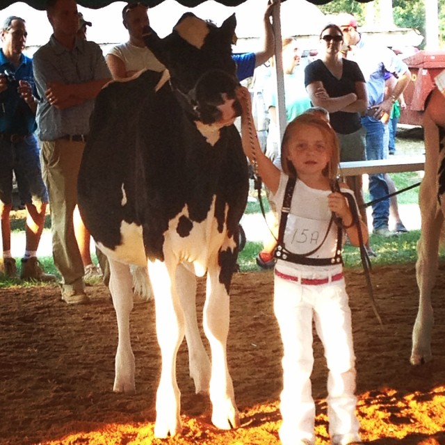 TADF Windy Knoll View Farm Blog – 1