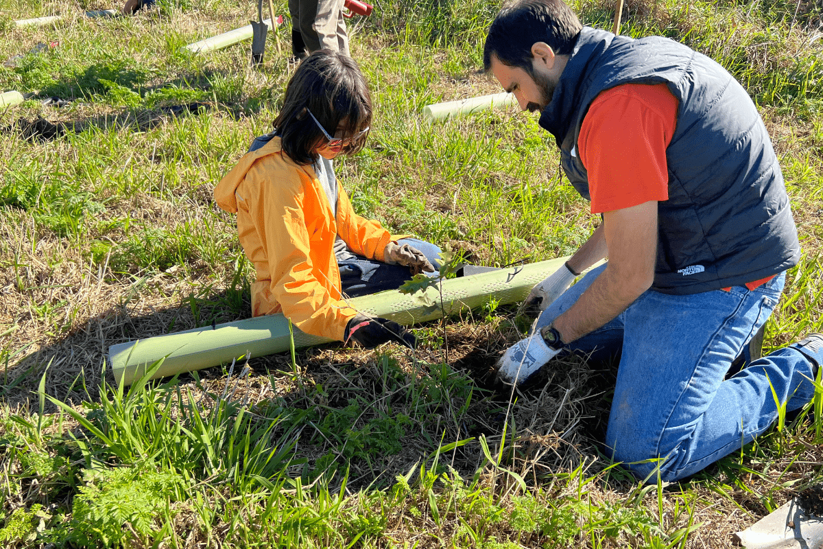 Trees Planted on Dairy Farm Keep Local Waters Clean