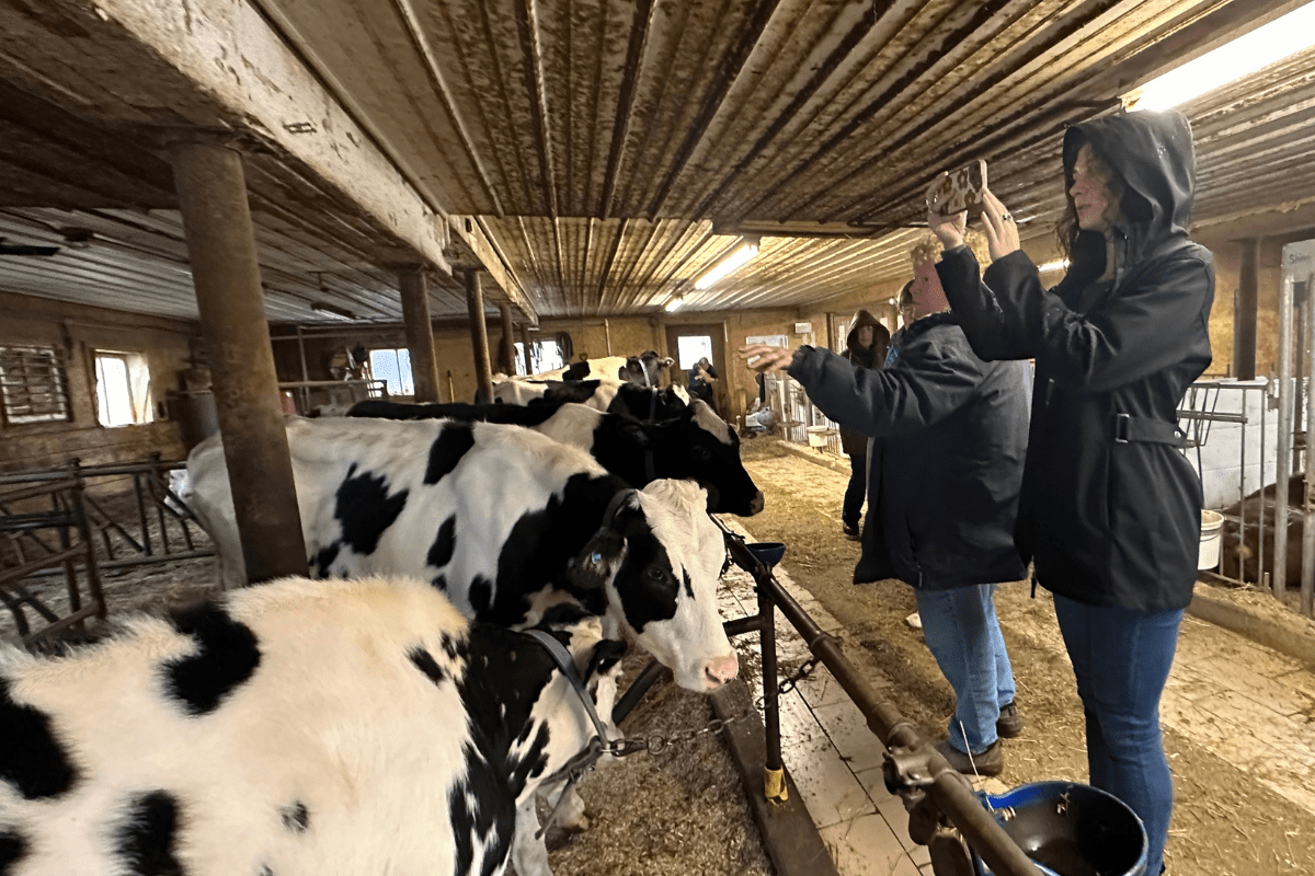 Students Can Visit A Southern Tier Dairy Farm Without Leaving Their Classroom