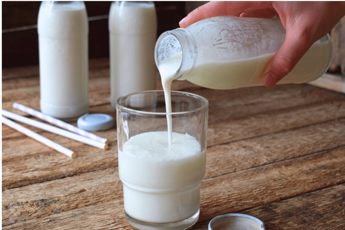 Kefir: The Gut-Healthy Superfood