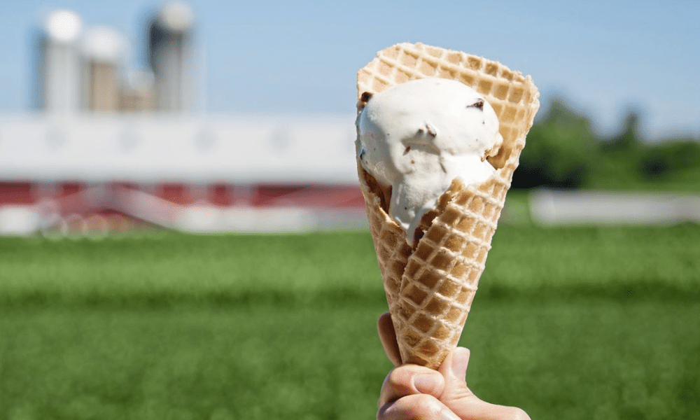 Love Ice Cream? Then This Could Be Your Dream Job!
