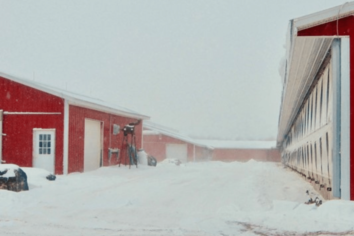 ‘Winter on the Farm’ Experience Planned at the Strong National Museum of Play