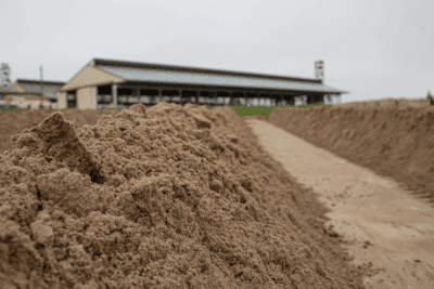 Cow Bedding Blog – 4