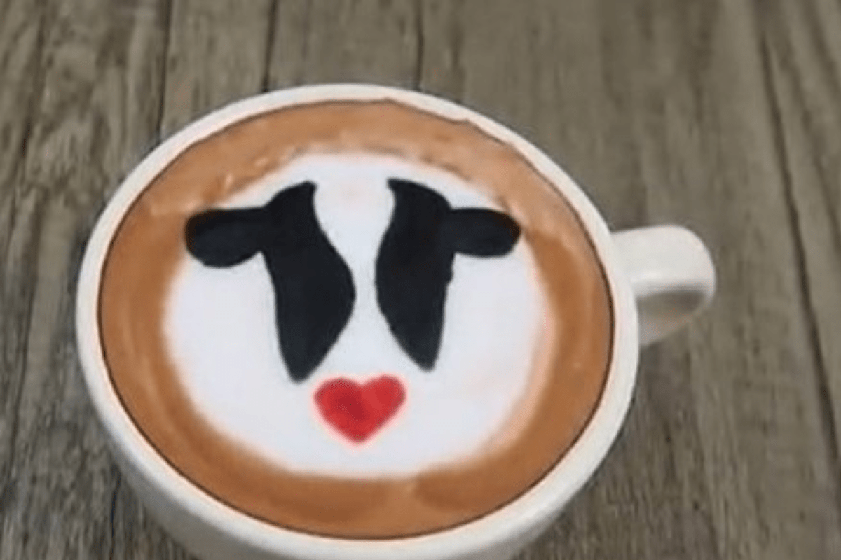 Dairy Checkoff News Coverage Recap: November 2025