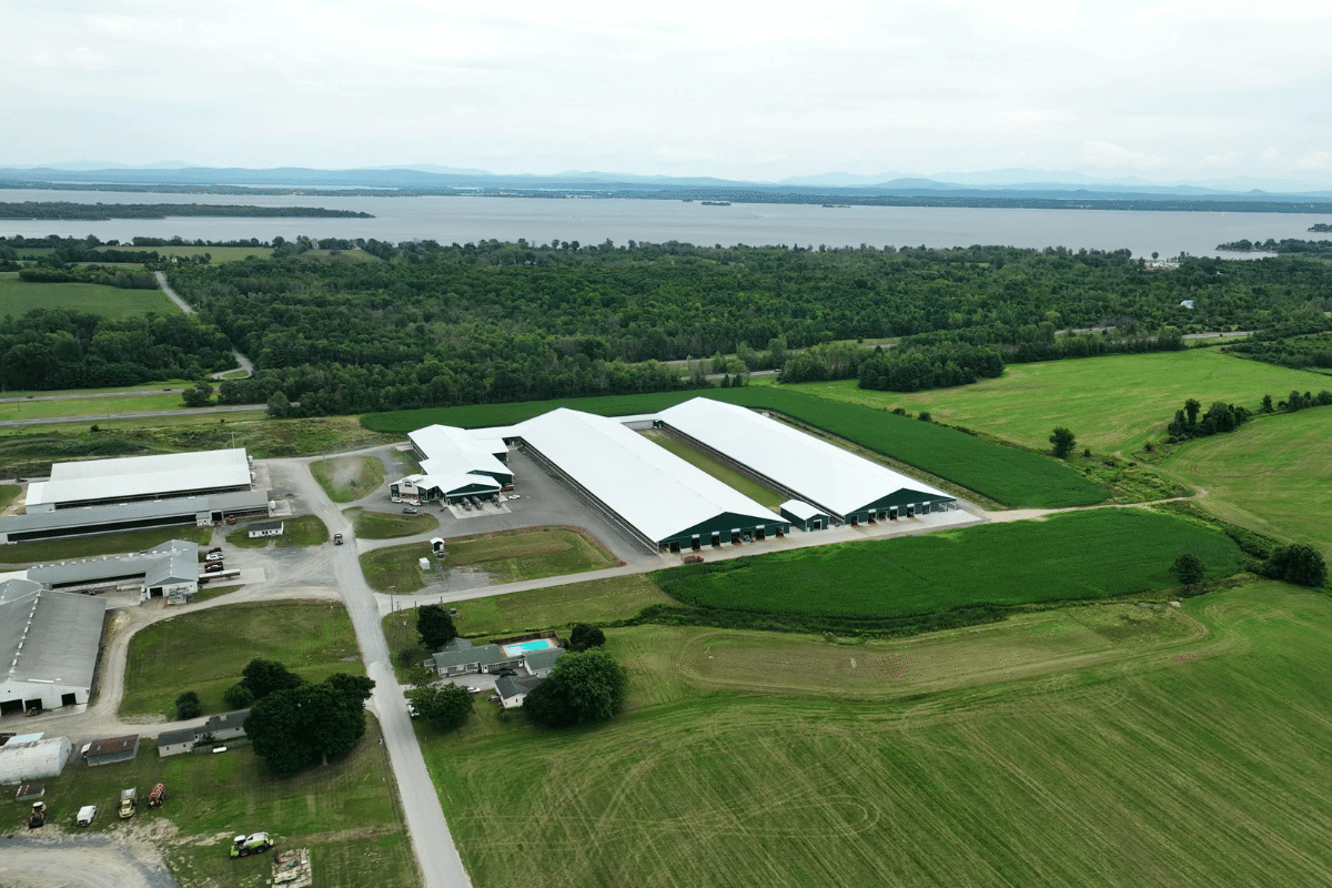 Students Can Visit A North County Dairy Farm Without Leaving Their Classroom