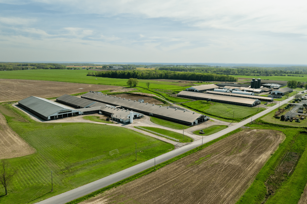 Students Can Visit a Central New York Dairy Farm Without Leaving Their Classroom