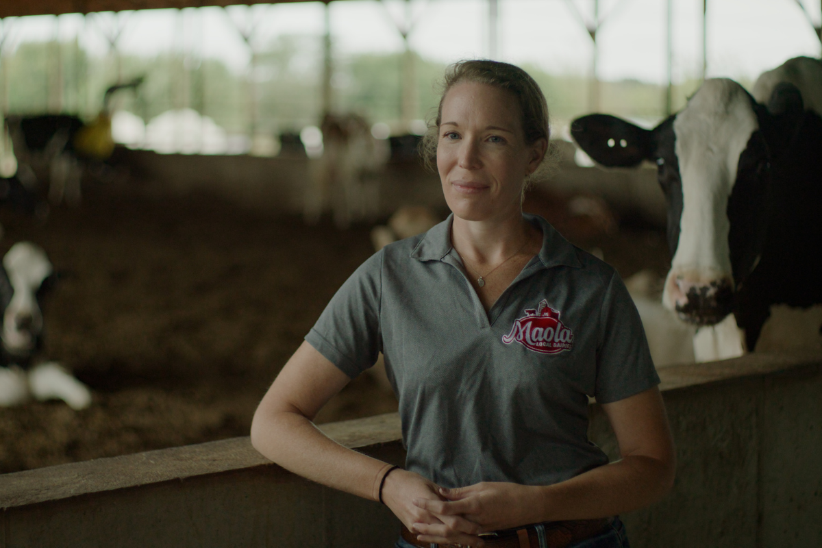 Chesapeake Bay Blog – 1