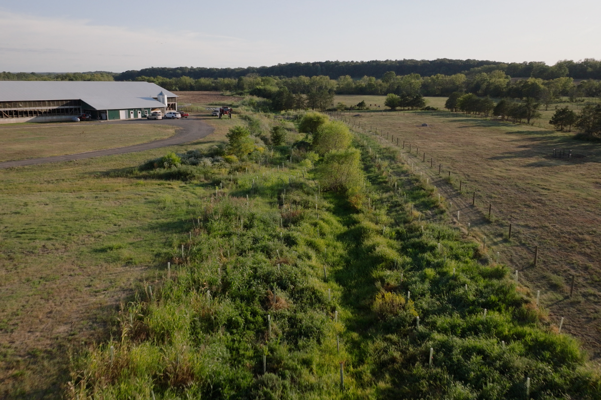 Chesapeake Bay Blog – 6