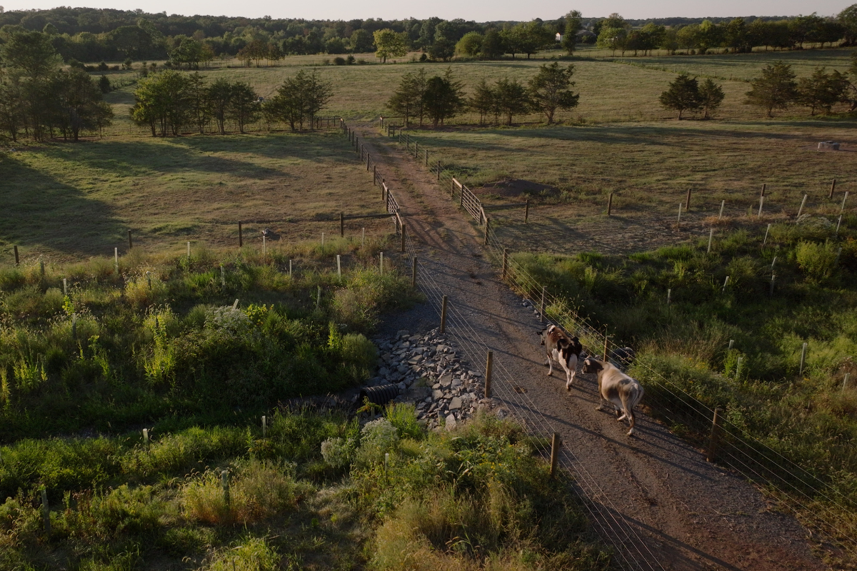 Chesapeake Bay Blog – 7